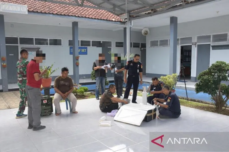 Lobster yang Menghiasi Setiap Proyek di Cilacap